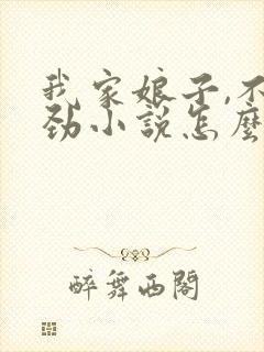 我家娘子,不对劲小说怎么样