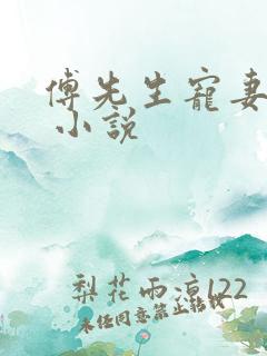 傅先生宠妻无度 小说