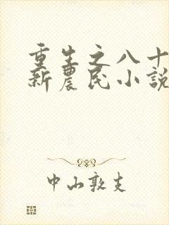 重生之八十年代新农民小说