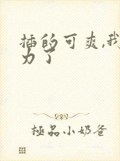 插的可爽,我用力了