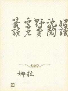 萧云野沈昭宁小说免费阅读最新章节