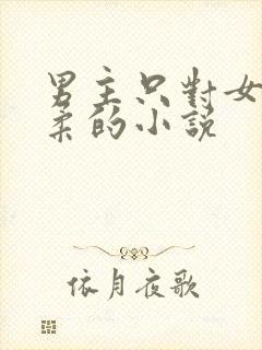 男主只对女主温柔的小说