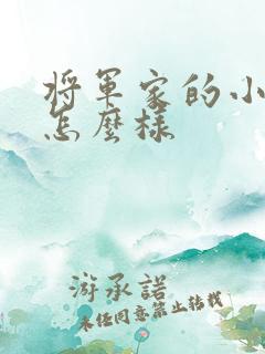 将军家的小娘子怎么样