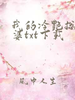我的冷艳总裁老婆txt下载