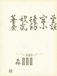 华娱后宫曾黎,秦岚的小说