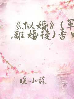 《似婚》(军婚,离婚后)番外