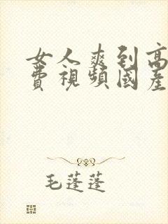 女人爽到高潮免费视频国产