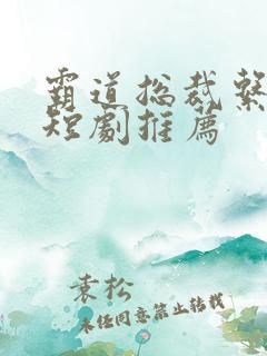 霸道总裁系列 短剧推荐