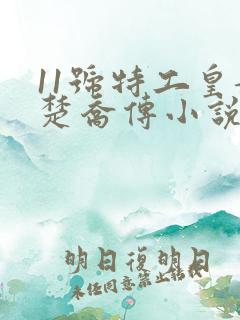 11号特工皇妃楚乔传小说