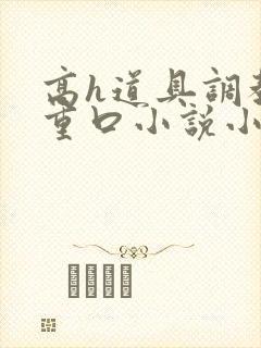 高h道具调教男重口小说小说