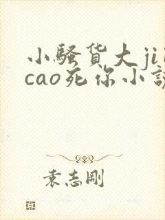 小骚货大ji巴cao死你小说