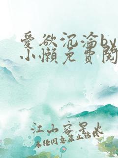 爱欲沉沦by何小懒免费阅读