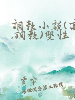 调教小说(高h,调教)双性