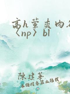 高h荤爽肉欲文〈np〉bl