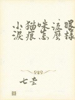 小猫咪流眼泪有泪痕怎么样治疗