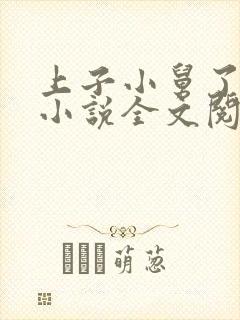 上子小舅了老婆小说全文阅读