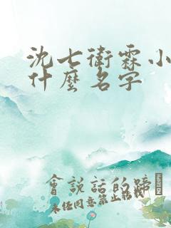 沈七卫霖小说叫什么名字