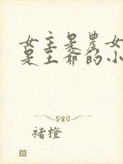 女主是农女男主是王爷的小说