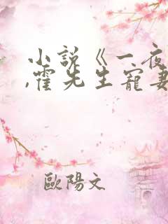 小说《一夜情深,霍先生宠妻无度》