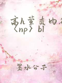 高h荤爽肉欲文〈np〉bl