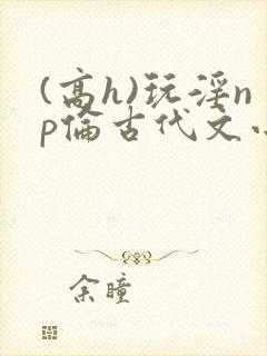 (高h)玩淫np伦古代文小说