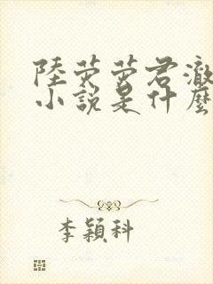 陆荧荧君澈原著小说是什么