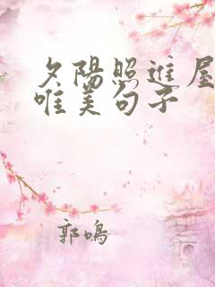 夕阳照进屋内的唯美句子