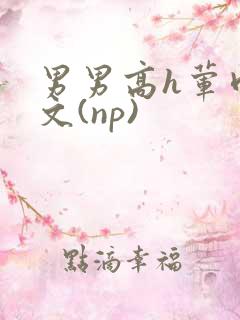 男男高h荤肉欲文(np)