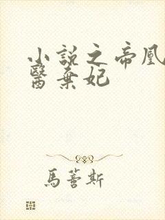 小说之帝凰之神医弃妃