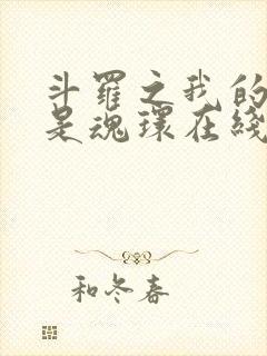 斗罗之我的武魂是魂环在线阅读全文