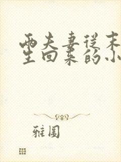 两夫妻从末世重生回来的小说