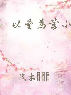 以爱为营小说