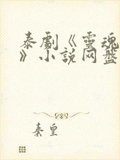 泰剧《灵魂重生》小说网盘