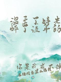 温柔了时光,沉醉了流年的意思