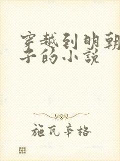 穿越到明朝当太子的小说