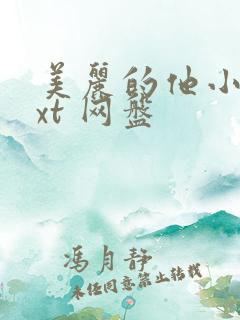 美丽的他小说txt 网盘