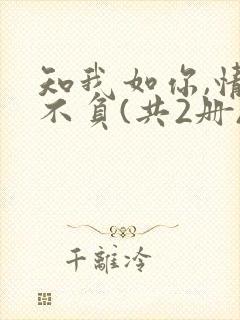 知我如你,情深不负(共2册) 叶落无心