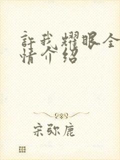 许我耀眼全部剧情介绍