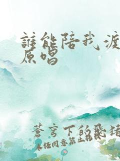 谁能陪我渡红尘原唱