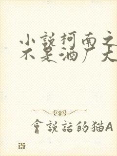 小说柯南之我真不是酒厂大佬txt