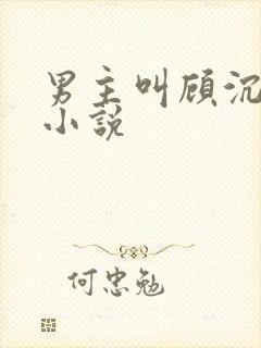 男主叫顾沉舟的小说