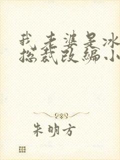 我老婆是冰山女总裁改编小说