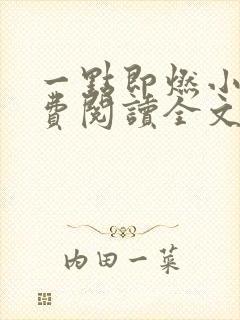 一点即燃小说免费阅读全文无弹窗