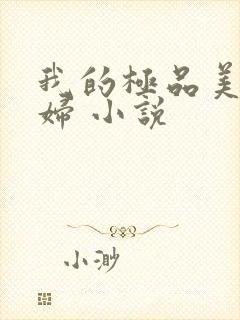 我的极品美女媳妇 小说