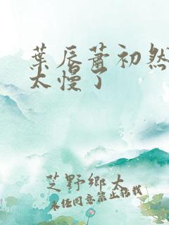 叶辰萧初然更新太慢了