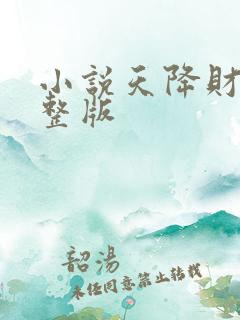 小说天降财运完整版