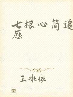 七根心简追更日历