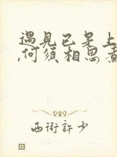 遇见已是上上签,何须相思煮余年什么意思