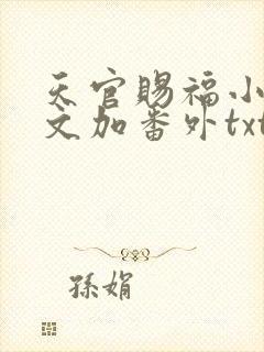 天官赐福小说全文加番外txt