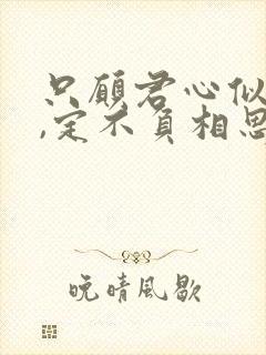 只愿君心似我心,定不负相思意下一句